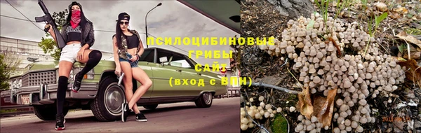 2c-b Володарск