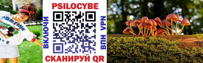 Псилоцибиновые грибы Psilocybe где найти Южно-Сахалинск