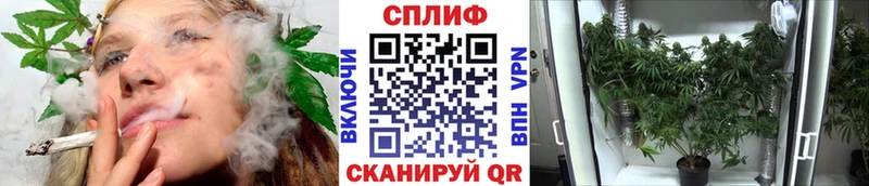 Бошки марихуана ГИДРОПОН Южно-Сахалинск